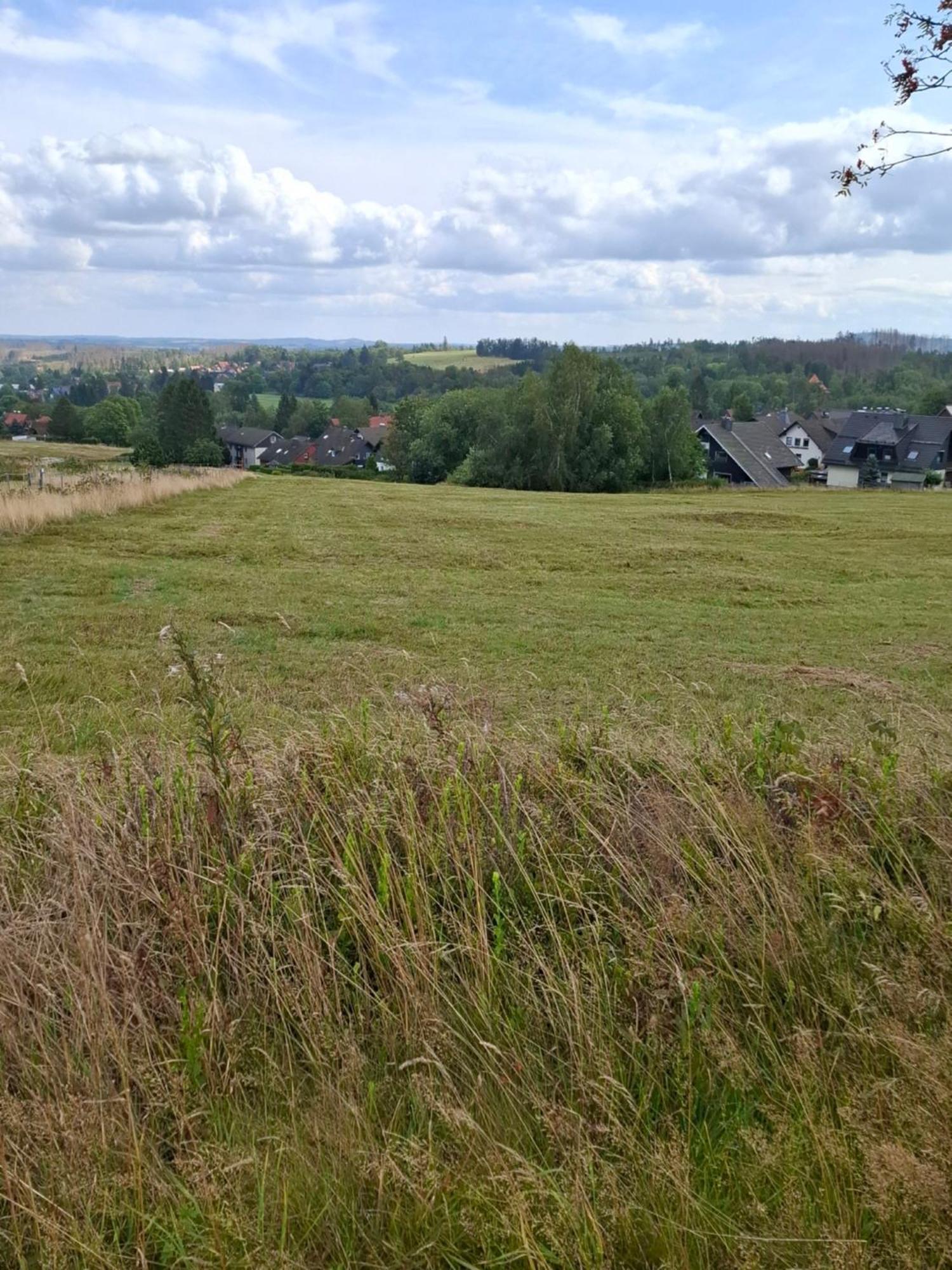 Hochwald Appartement Bad Sachsa Exterior foto